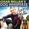 Cesar Millan's Dog Whisperer